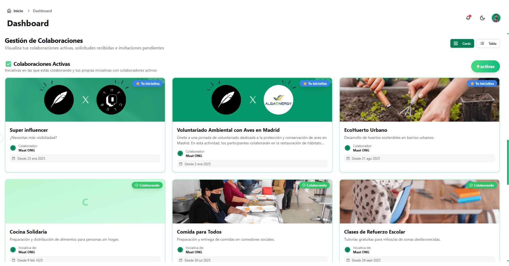 Management panel for NGOs Maat Impact